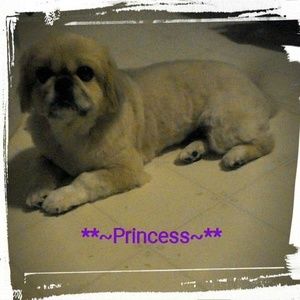 Meet your Posher, Linda